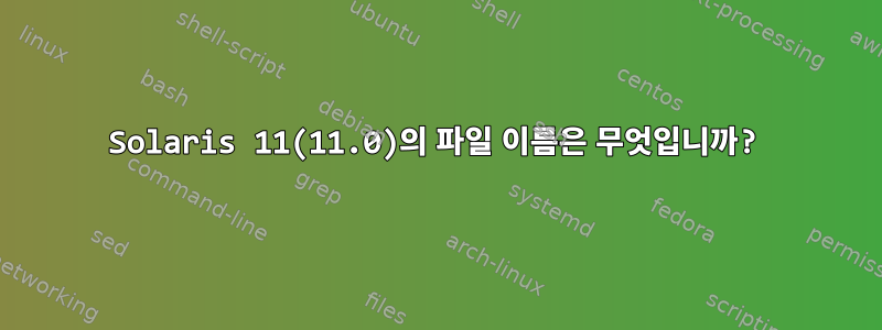 Solaris 11(11.0)의 파일 이름은 무엇입니까?