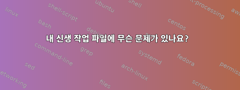 내 신생 작업 파일에 무슨 문제가 있나요?