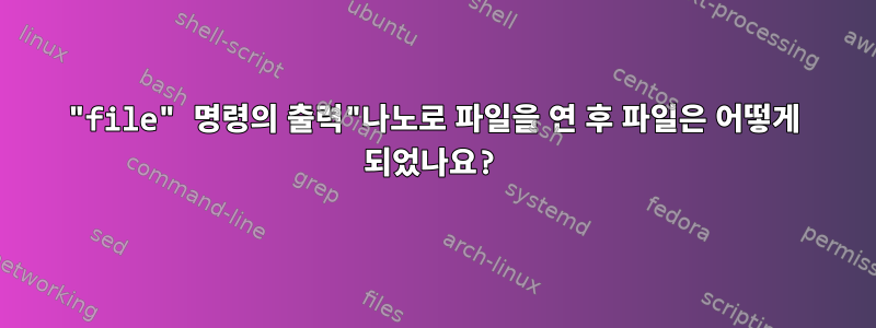 "file" 명령의 출력"나노로 파일을 연 후 파일은 어떻게 되었나요?