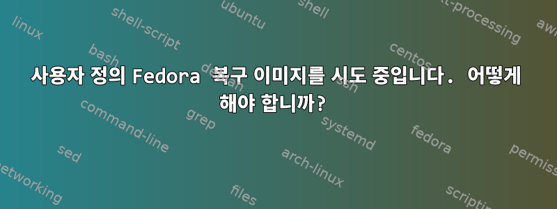 사용자 정의 Fedora 복구 이미지를 시도 중입니다. 어떻게 해야 합니까?