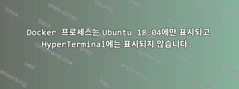 Docker 프로세스는 Ubuntu 18.04에만 표시되고 HyperTerminal에는 표시되지 않습니다.