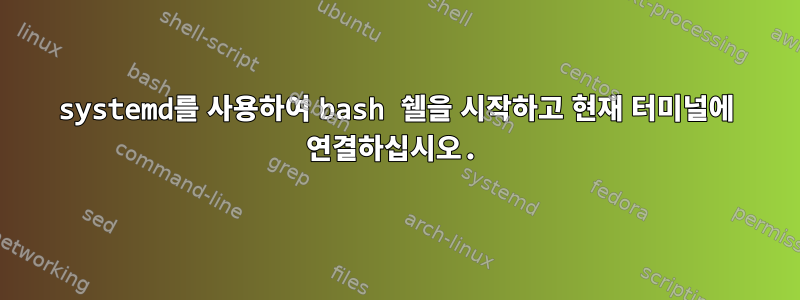 systemd를 사용하여 bash 쉘을 시작하고 현재 터미널에 연결하십시오.