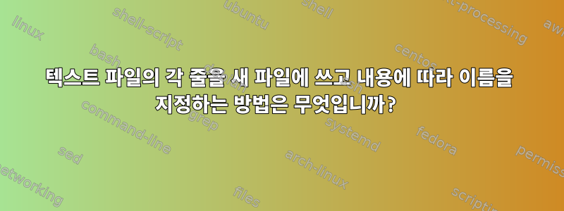 텍스트 파일의 각 줄을 새 파일에 쓰고 내용에 따라 이름을 지정하는 방법은 무엇입니까?