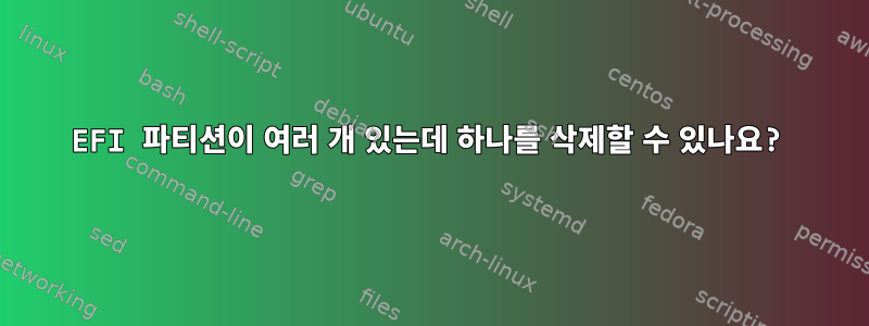 EFI 파티션이 여러 개 있는데 하나를 삭제할 수 있나요?