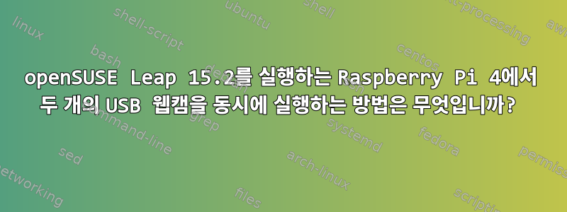 openSUSE Leap 15.2를 실행하는 Raspberry Pi 4에서 두 개의 USB 웹캠을 동시에 실행하는 방법은 무엇입니까?