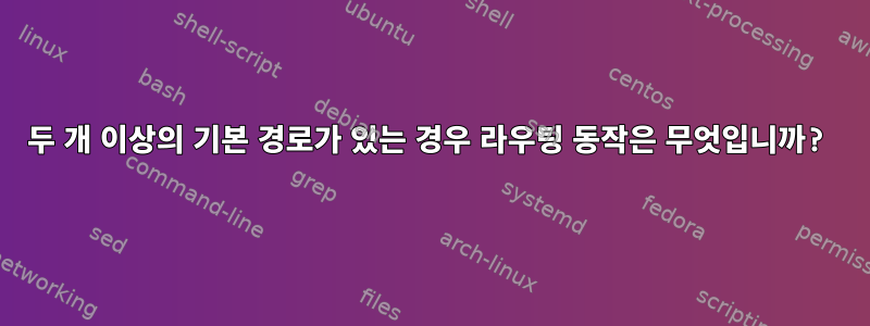 두 개 이상의 기본 경로가 있는 경우 라우팅 동작은 무엇입니까?