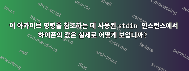 이 아카이브 명령을 참조하는 데 사용된 stdin 인스턴스에서 하이픈의 값은 실제로 어떻게 보입니까?