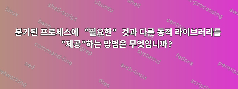 분기된 프로세스에 "필요한" 것과 다른 동적 라이브러리를 "제공"하는 방법은 무엇입니까?