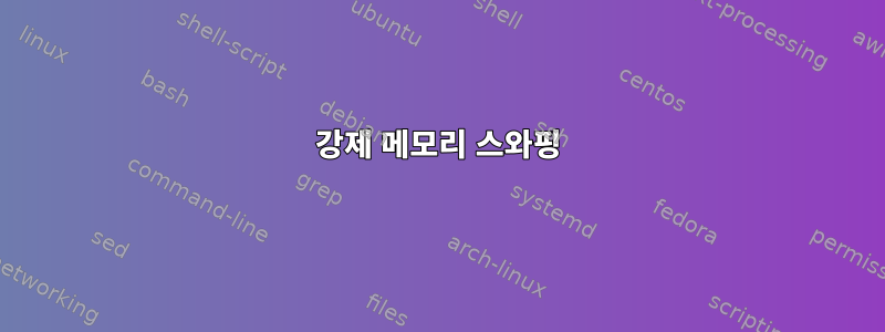 강제 메모리 스와핑