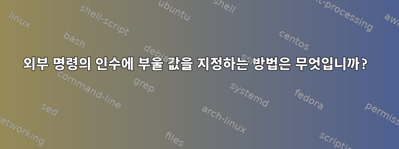 외부 명령의 인수에 부울 값을 지정하는 방법은 무엇입니까?