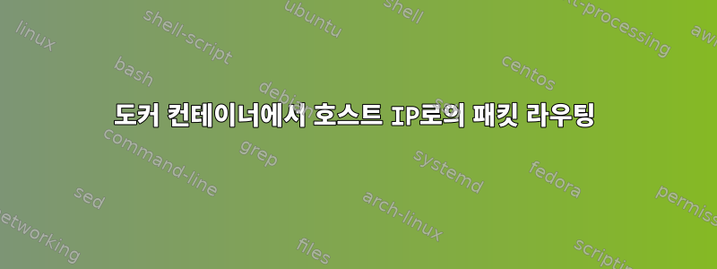 도커 컨테이너에서 호스트 IP로의 패킷 라우팅