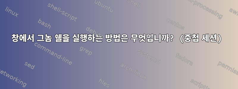 창에서 그놈 쉘을 실행하는 방법은 무엇입니까? (중첩 세션)