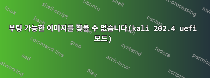 부팅 가능한 이미지를 찾을 수 없습니다(kali 202.4 uefi 모드)