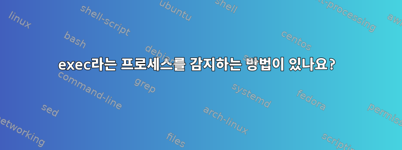 exec라는 프로세스를 감지하는 방법이 있나요?