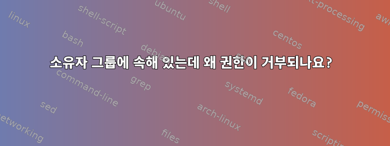 소유자 그룹에 속해 있는데 왜 권한이 거부되나요?