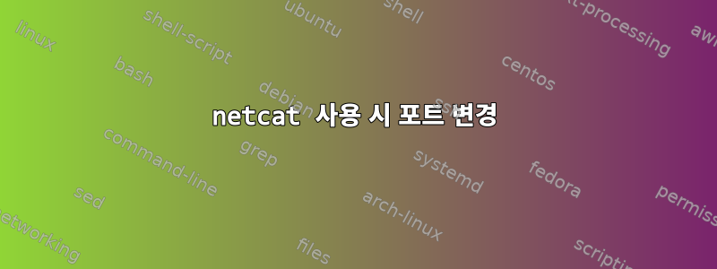 netcat 사용 시 포트 변경