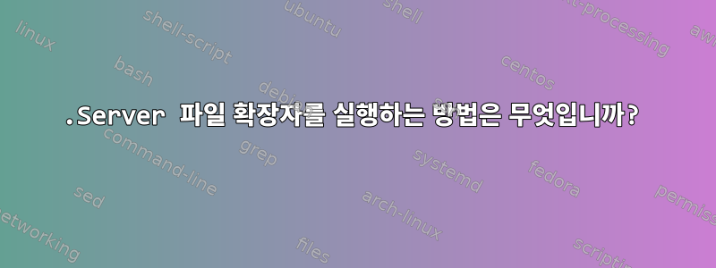 .Server 파일 확장자를 실행하는 방법은 무엇입니까?