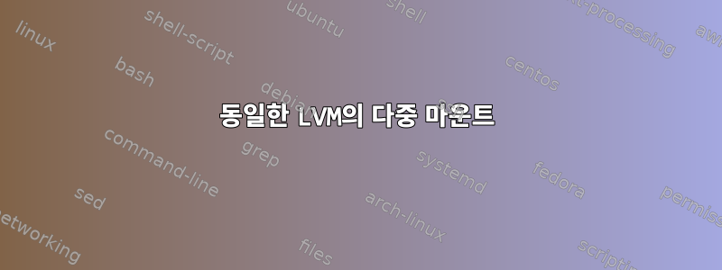 동일한 LVM의 다중 마운트