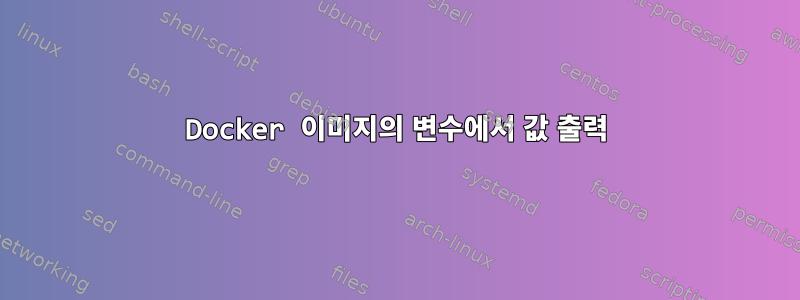 Docker 이미지의 변수에서 값 출력