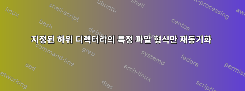 지정된 하위 디렉터리의 특정 파일 형식만 재동기화