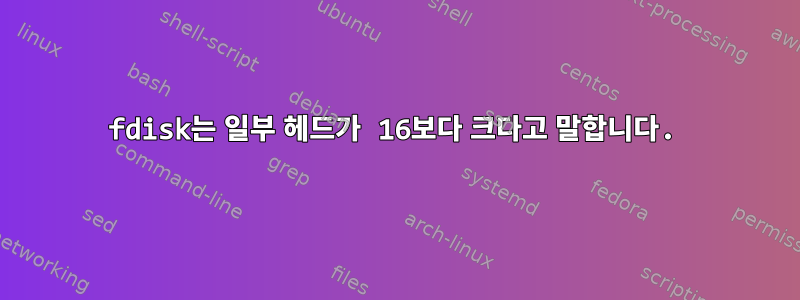 fdisk는 일부 헤드가 16보다 크다고 말합니다.