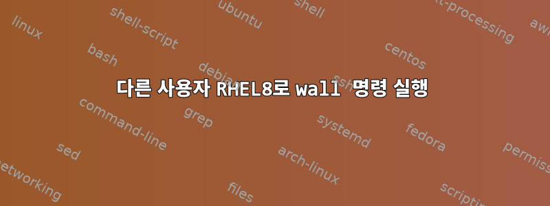 다른 사용자 RHEL8로 wall 명령 실행