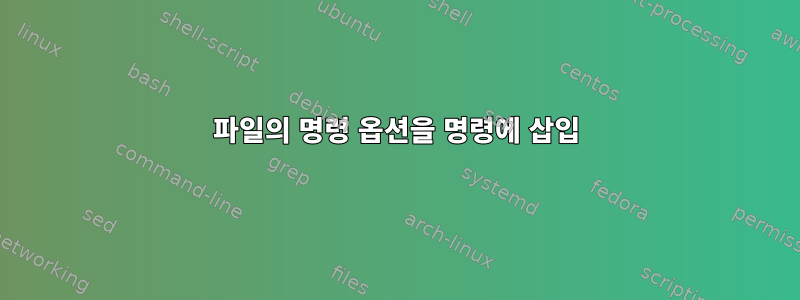 파일의 명령 옵션을 명령에 삽입