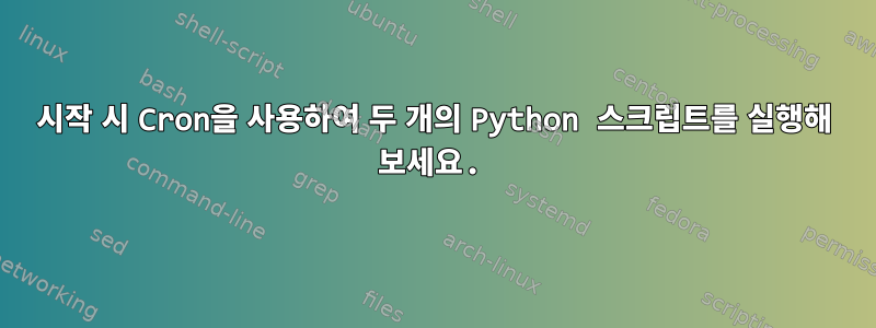 시작 시 Cron을 사용하여 두 개의 Python 스크립트를 실행해 보세요.