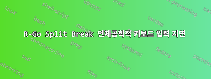 R-Go Split Break 인체공학적 키보드 입력 지연