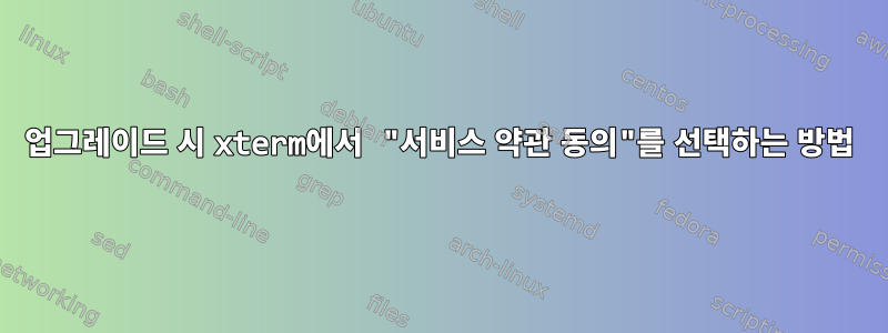 업그레이드 시 xterm에서 "서비스 약관 동의"를 선택하는 방법