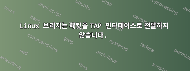 Linux 브리지는 패킷을 TAP 인터페이스로 전달하지 않습니다.