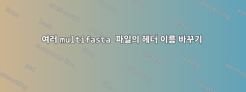 여러 multifasta 파일의 헤더 이름 바꾸기