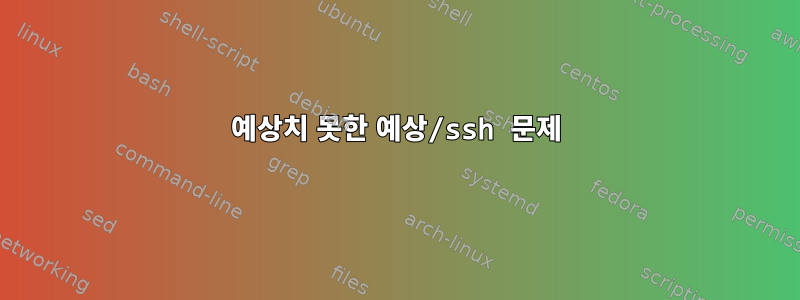 예상치 못한 예상/ssh 문제