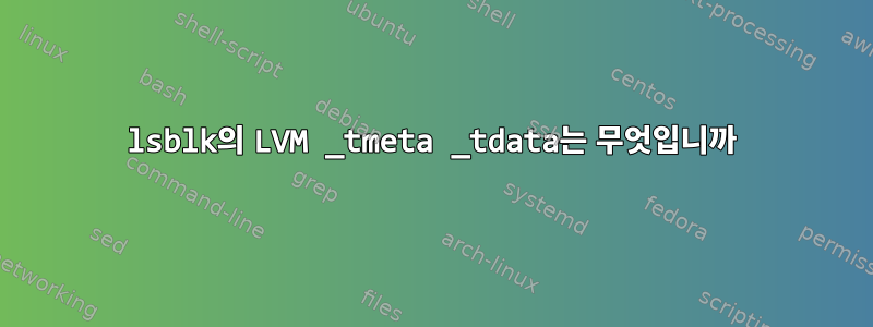 lsblk의 LVM _tmeta _tdata는 무엇입니까