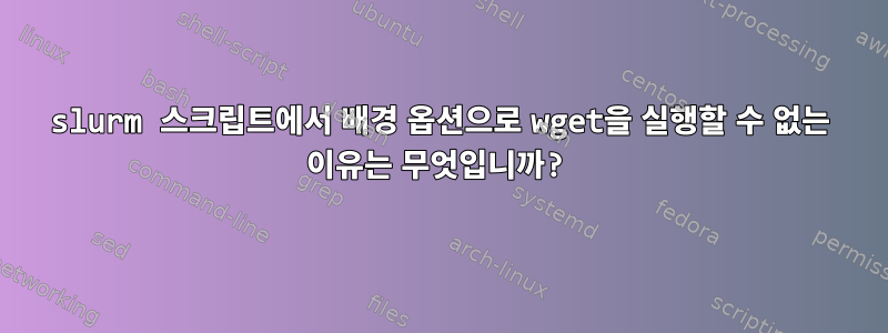 slurm 스크립트에서 배경 옵션으로 wget을 실행할 수 없는 이유는 무엇입니까?