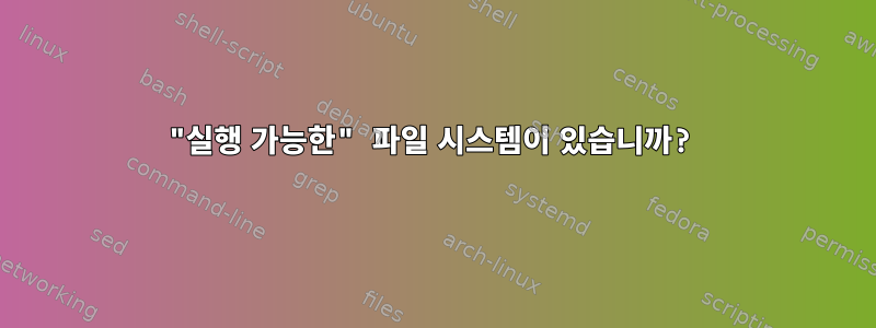 "실행 가능한" 파일 시스템이 있습니까?