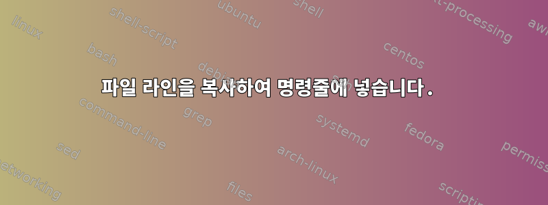 파일 라인을 복사하여 명령줄에 넣습니다.