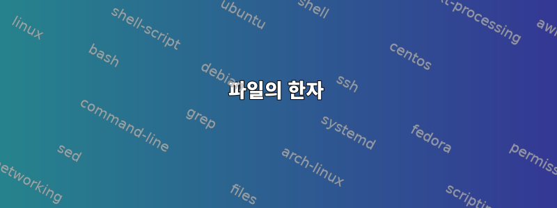 파일의 한자