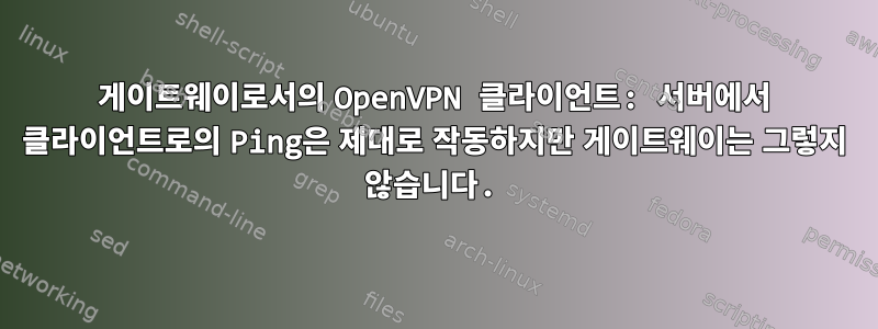 게이트웨이로서의 OpenVPN 클라이언트: 서버에서 클라이언트로의 Ping은 제대로 작동하지만 게이트웨이는 그렇지 않습니다.