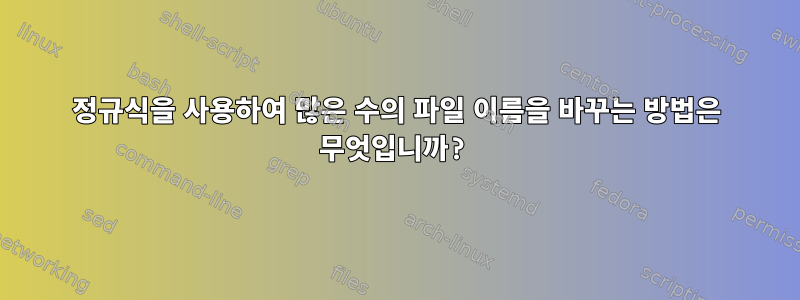 정규식을 사용하여 많은 수의 파일 이름을 바꾸는 방법은 무엇입니까?