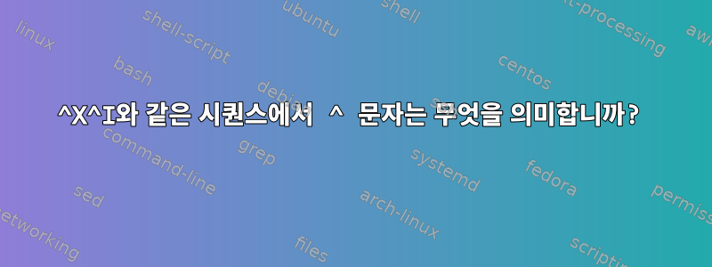 ^X^I와 같은 시퀀스에서 ^ 문자는 무엇을 의미합니까?