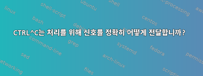 CTRL^C는 처리를 위해 신호를 정확히 어떻게 전달합니까?