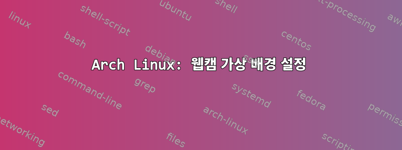 Arch Linux: 웹캠 가상 배경 설정