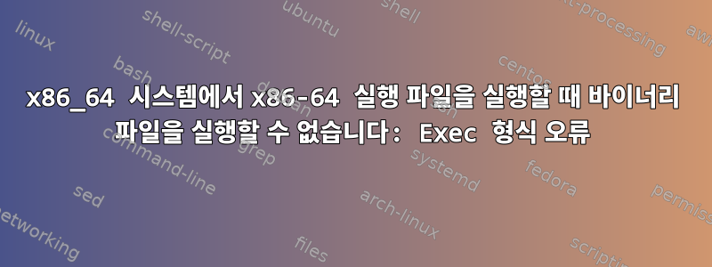 x86_64 시스템에서 x86-64 실행 파일을 실행할 때 바이너리 파일을 실행할 수 없습니다: Exec 형식 오류