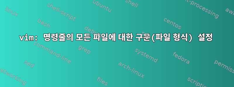 vim: 명령줄의 모든 파일에 대한 구문(파일 형식) 설정