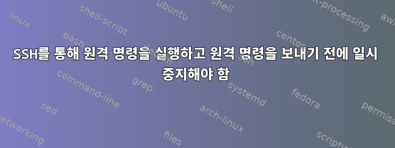 SSH를 통해 원격 명령을 실행하고 원격 명령을 보내기 전에 일시 중지해야 함