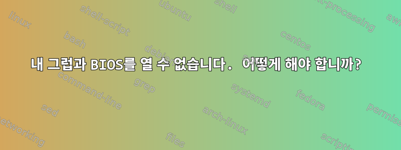 내 그럽과 BIOS를 열 수 없습니다. 어떻게 해야 합니까?