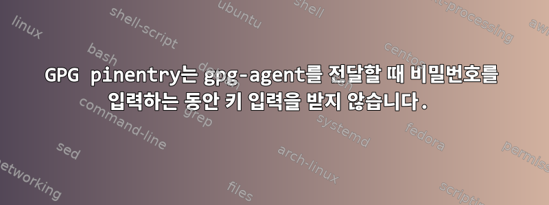 GPG pinentry는 gpg-agent를 전달할 때 비밀번호를 입력하는 동안 키 입력을 받지 않습니다.