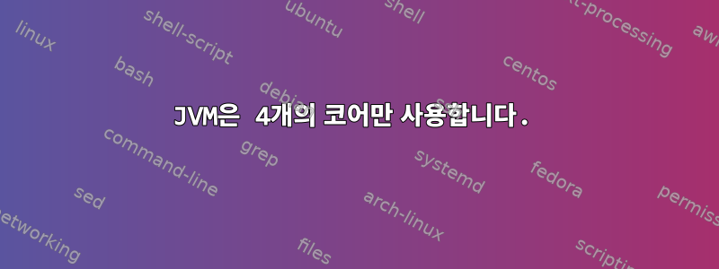 JVM은 4개의 코어만 사용합니다.