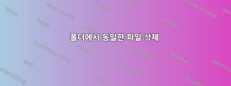 폴더에서 동일한 파일 삭제